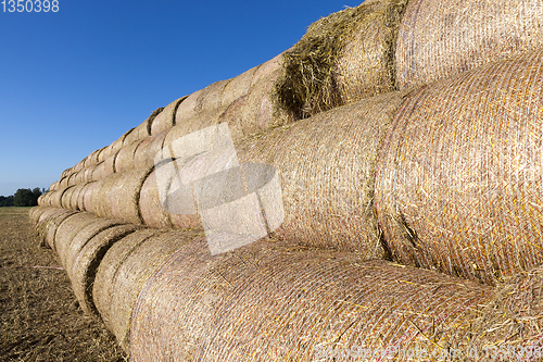 Image of Fresh straw warehouse