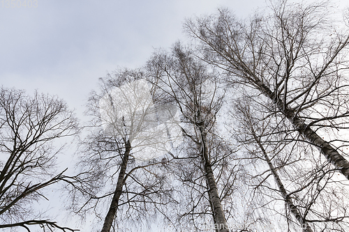 Image of Snow drifts in winter