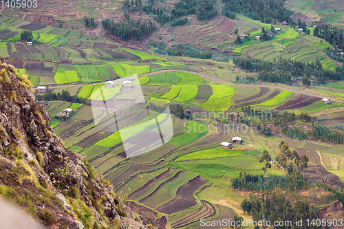 Image of agriculture terraced fields in Ethiopia