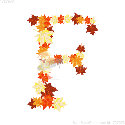 Image of Autumn Maples Leaves Letter