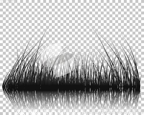 Image of grass on water