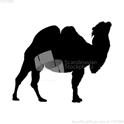 Image of Camel Silhouette