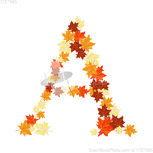 Image of Autumn Maples Leaves Letter