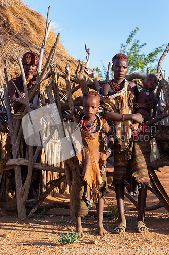 Image of Hamar Tribe of the Omo River Valley, Southwestern Ethiopia