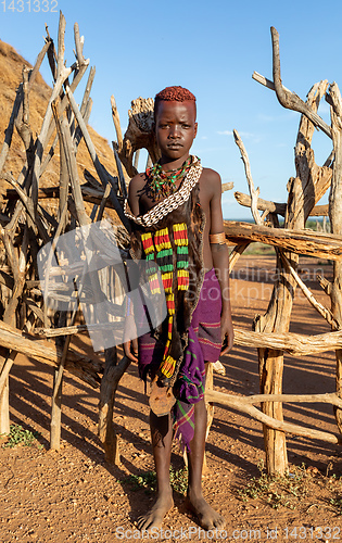 Image of Hamar Tribe of the Omo River Valley, Southwestern Ethiopia