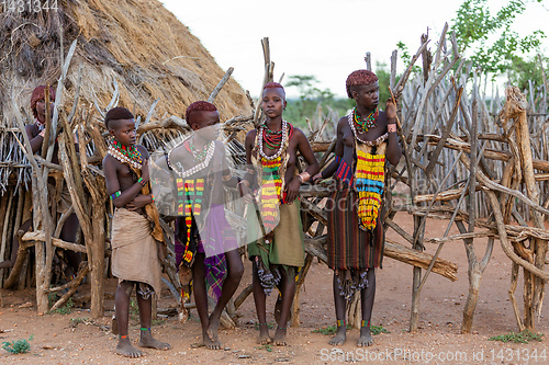 Image of Hamar Tribe of the Omo River Valley, Southwestern Ethiopia