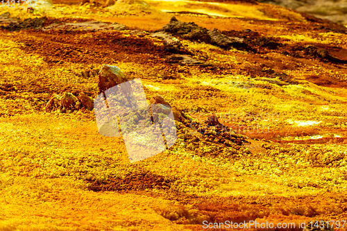 Image of Dallol, Ethiopia. Danakil Depression