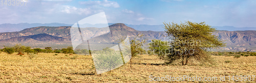 Image of savanna in the Awash National Park, Ethiopia