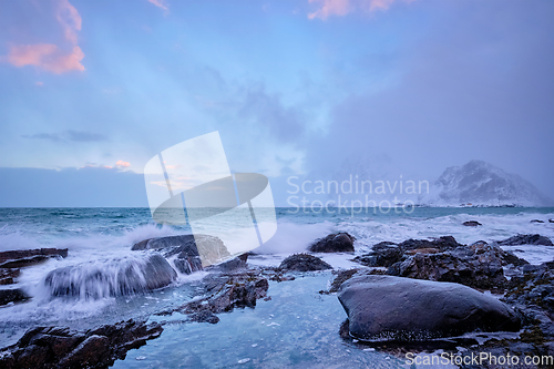 Image of Coast of Norwegian sea on rocky coast in fjord on sunset