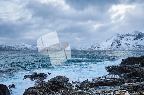 Image of Norwegian Sea waves on rocky coast of Lofoten islands, Norway