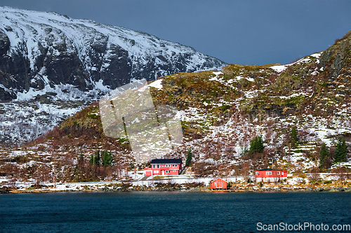 Image of Red rorbu houses in Norway in winter