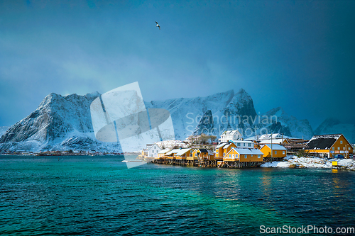 Image of Yellow rorbu houses, Lofoten islands, Norway