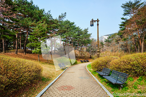 Image of Yeouido Park in Seoul, Korea