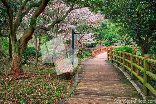 Image of Jeju Olle Trail, Jeju Island, South Korea