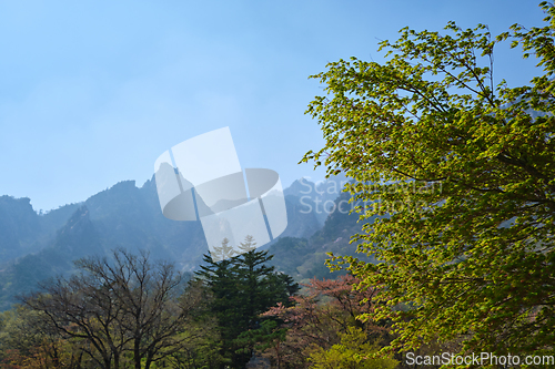 Image of Seoraksan National Park, South Korea