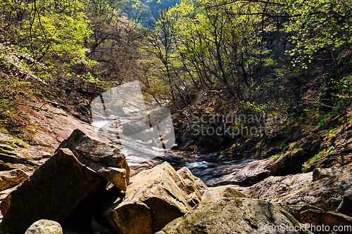 Image of Seoraksan National Park, South Korea