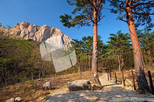 Image of Ulsanbawi rock in Seoraksan National Park, South Korea