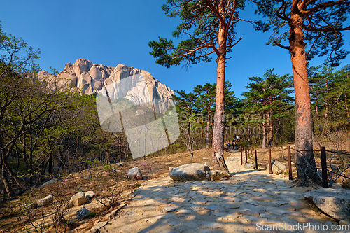 Image of Ulsanbawi rock in Seoraksan National Park, South Korea