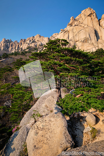 Image of Ulsanbawi rock in Seoraksan National Park, South Korea