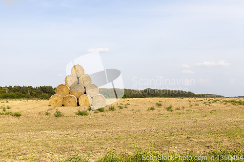 Image of field pyramid straw