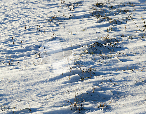 Image of Snow-covered surface