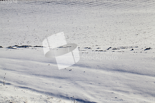 Image of Snow drifts in winter