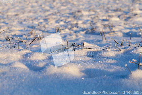 Image of Snow drifts in winter