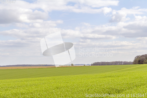 Image of rural landscape at spring time