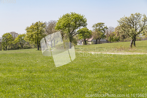 Image of farmstead at spring time