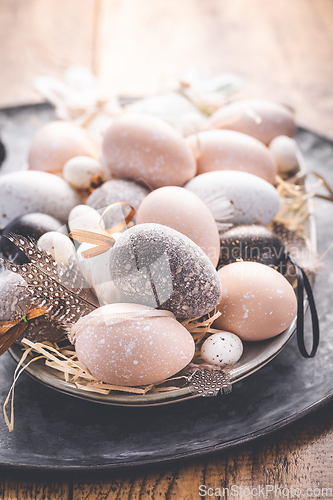 Image of Easter eggs with pussy-willow branch on wooden kitchen table