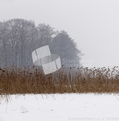 Image of Snow drifts in winter