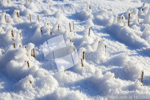 Image of Snow drifts in winter