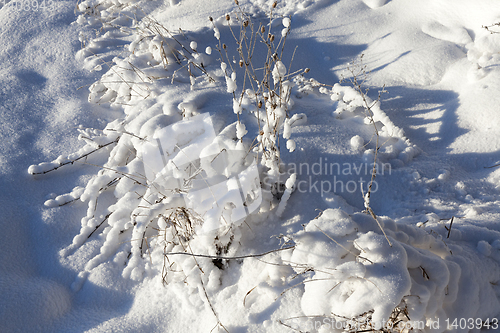 Image of Snow drifts in winter