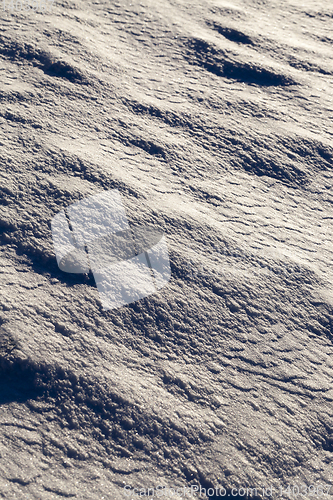 Image of under snow