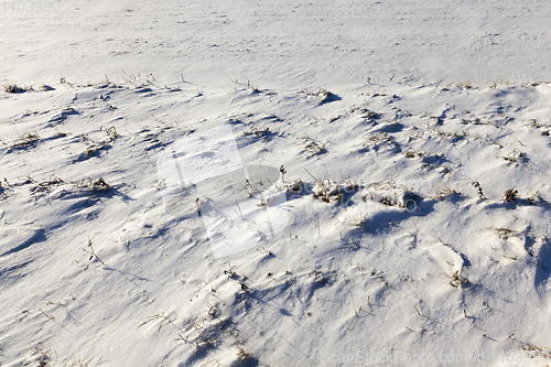 Image of land covered with snow, close-up