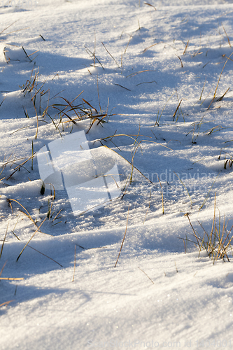 Image of Snowy surface, winter