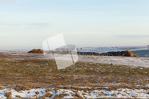 Image of Winter time of the year, close-up