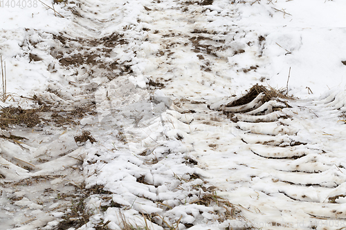 Image of Traces of the car on the snow