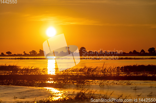 Image of African sunset on Chobe river, Botswana