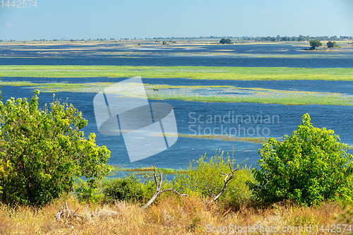 Image of Chobe river landscape, Botswana Africa