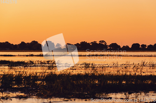 Image of African sunset on Chobe river, Botswana