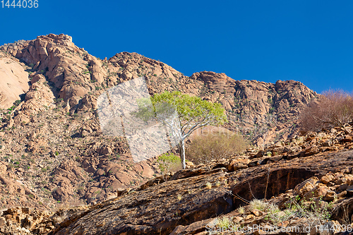 Image of Brandberg mountain landscape, Namibia