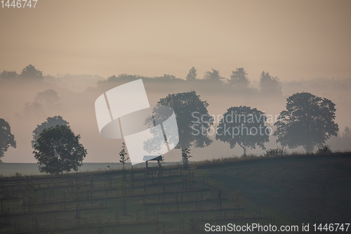 Image of Autumn foggy and misty sunrise landscape