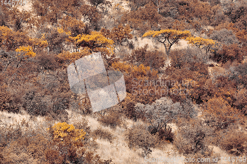 Image of landscape Pilanesberg National Park, South Africa