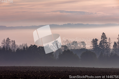 Image of Autumn foggy and misty sunrise landscape