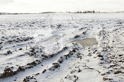 Image of land covered with snow, close-up