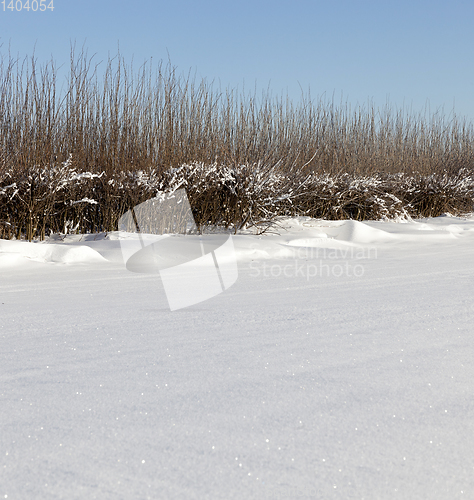 Image of After snowfall