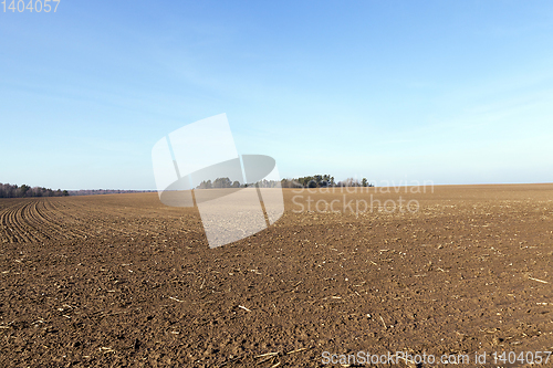 Image of plowed field, spring