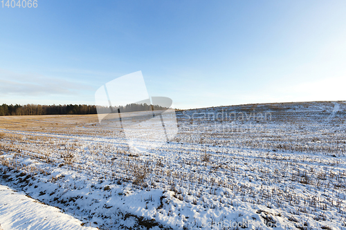 Image of field covered with snow