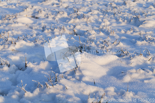 Image of Snow drifts in winter